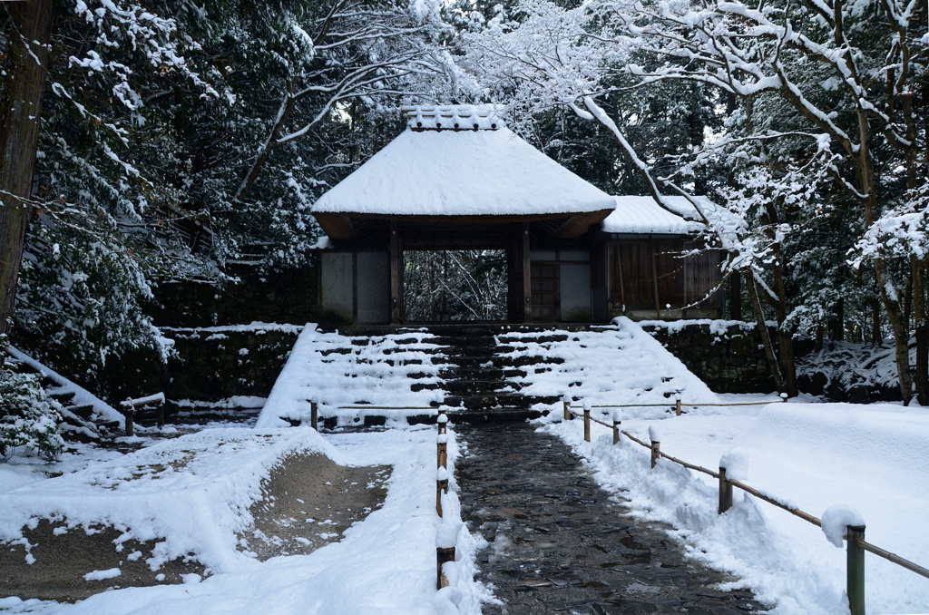 雪の法然院