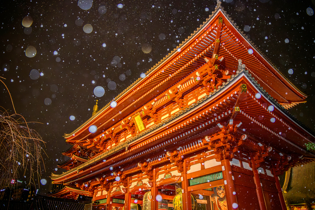 浅草寺 宝蔵門の雪景色