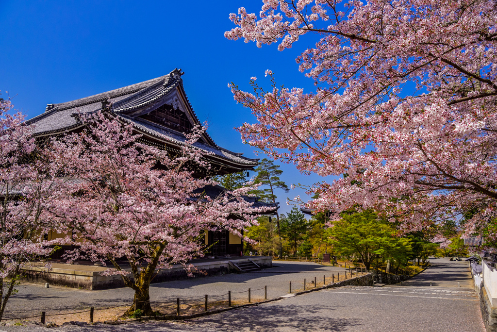 南禅寺の朝