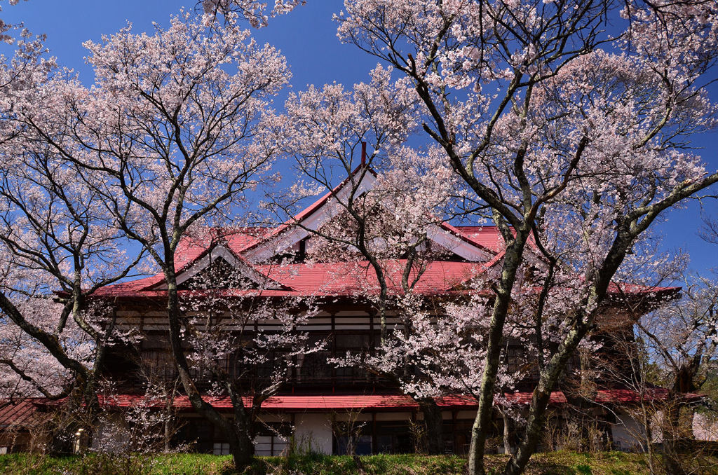 高遠閣2013