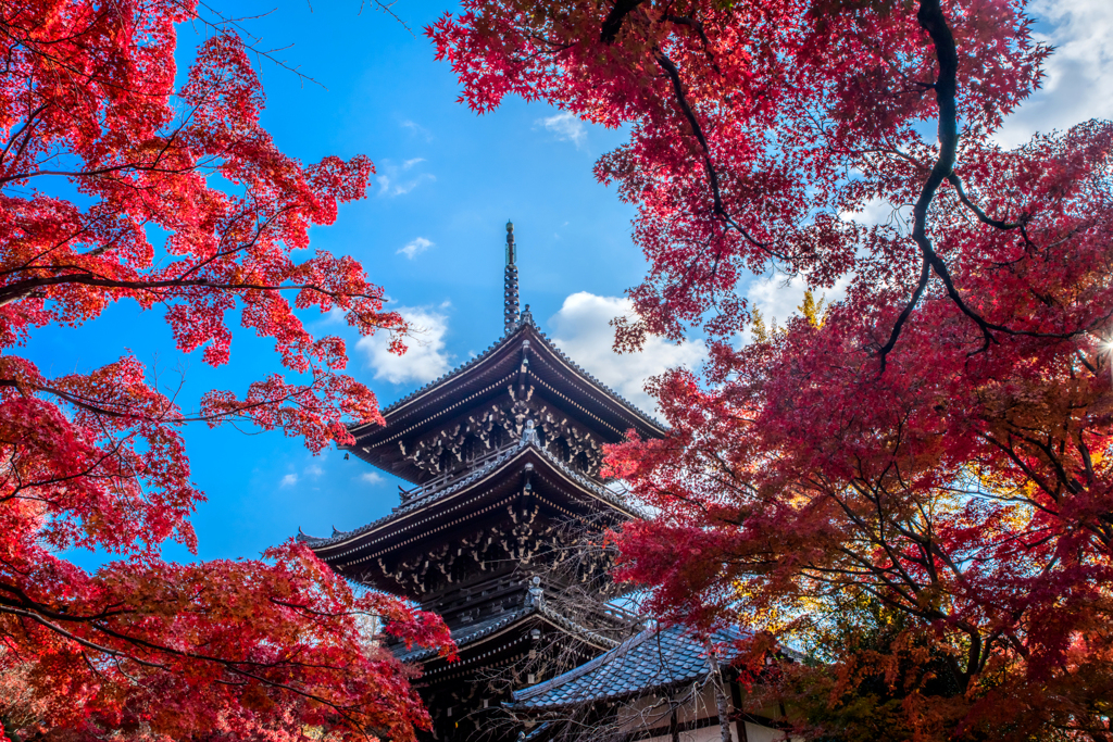 紅葉の隙間から3