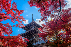 紅葉の隙間から3