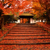 安楽寺2013