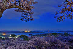 春の月夜の松島で