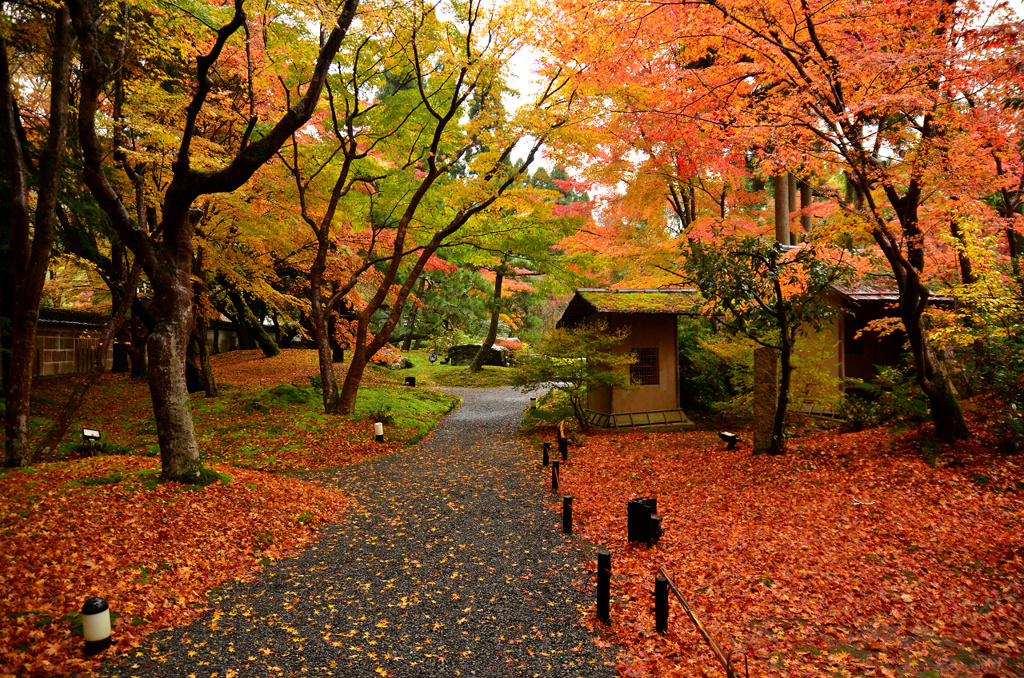 落ち葉のしょうざん庭園