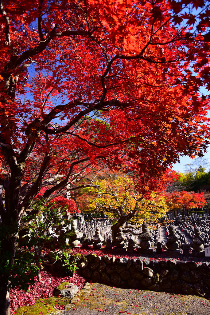 化野念仏寺