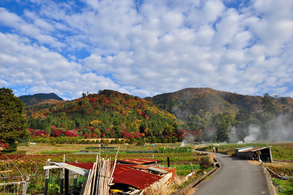 修学院の紅葉