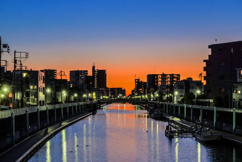 夜明けの呑川