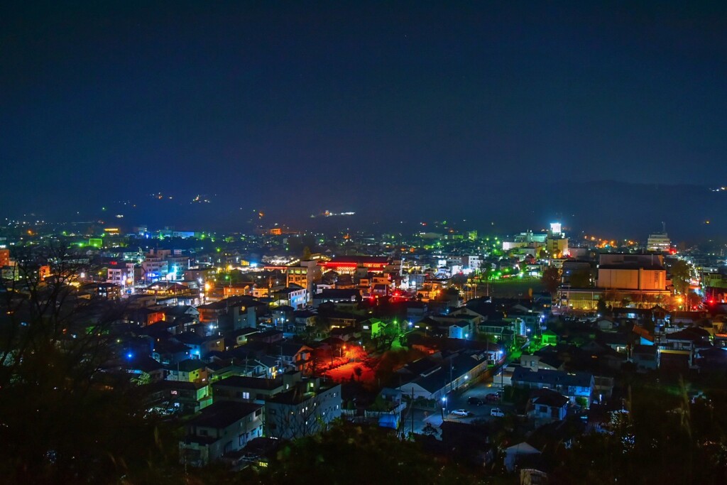 秩父 見晴らしの丘の夜景