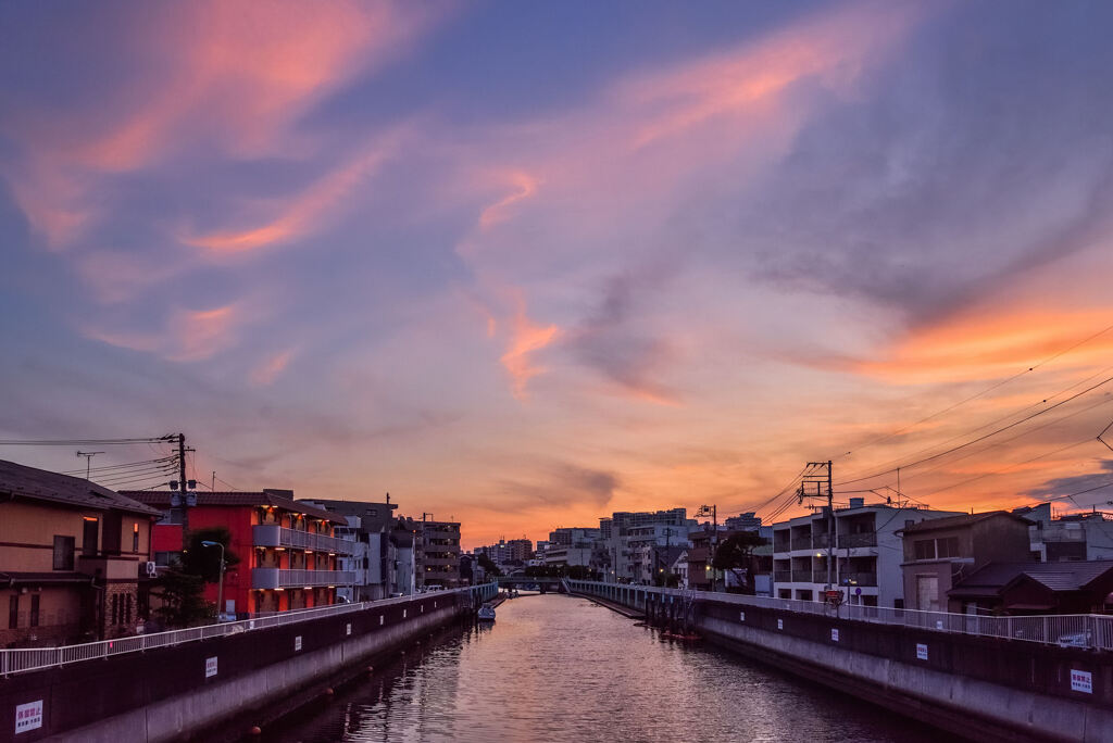 呑川の夕焼け