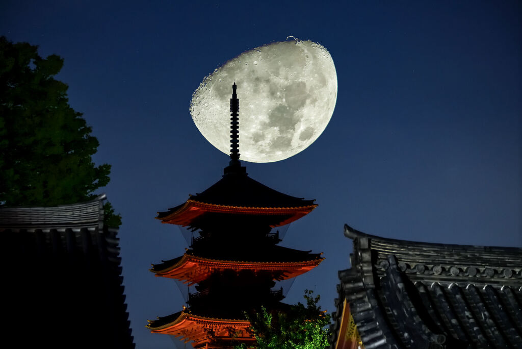 池上本門寺の夜(合成)