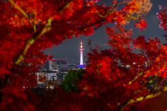 紅葉の隙間から1