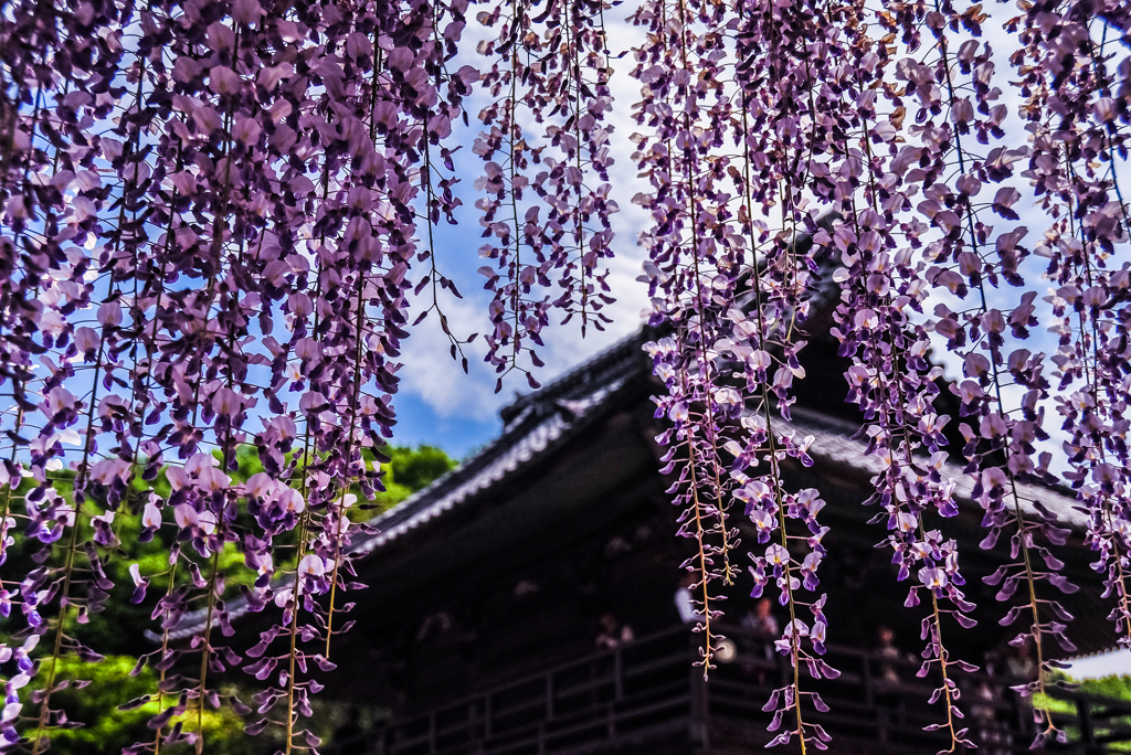 十年前の長泉寺2