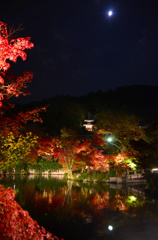 青い月夜の永観堂