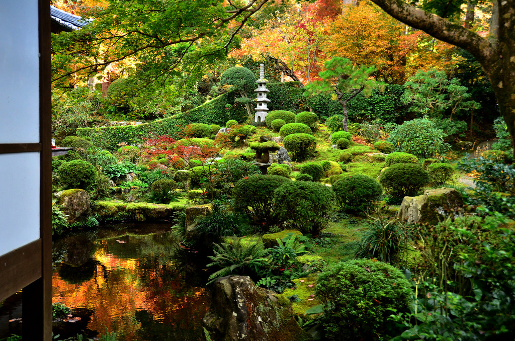 緑がきれいな三千院
