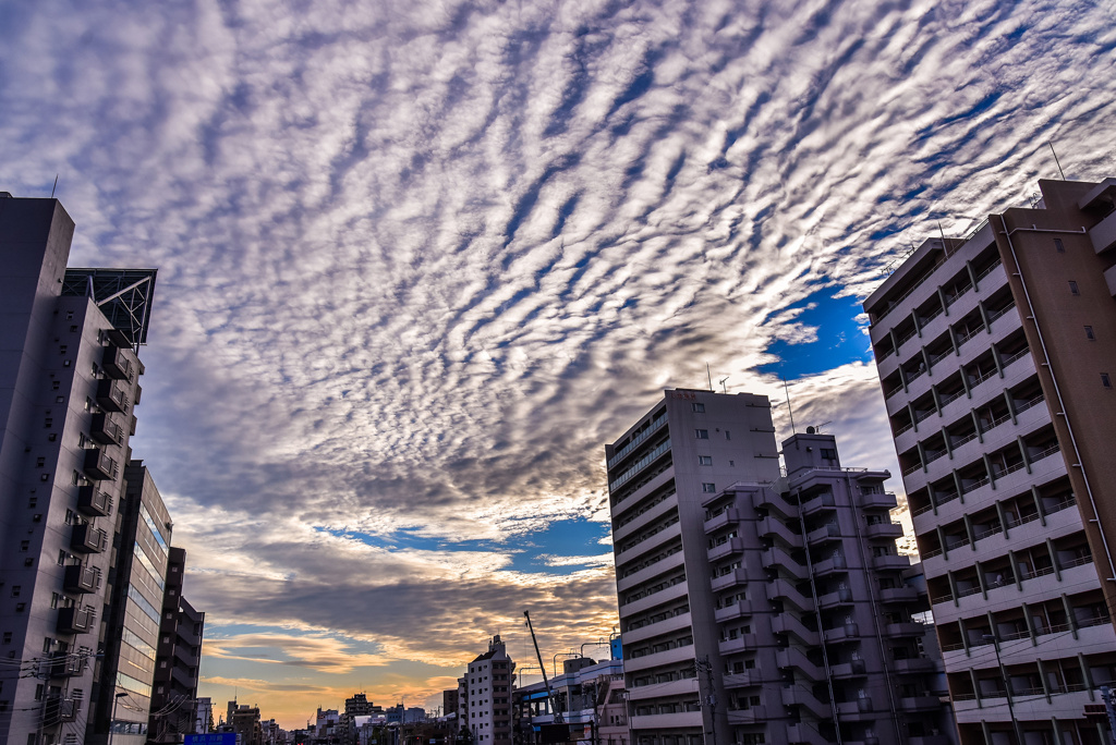 蒲田、秋の空