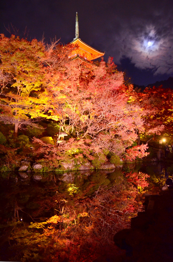 秋の月夜に