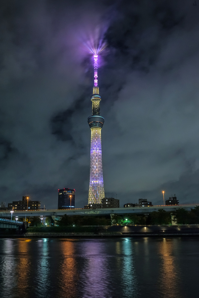 夜の隅田公園