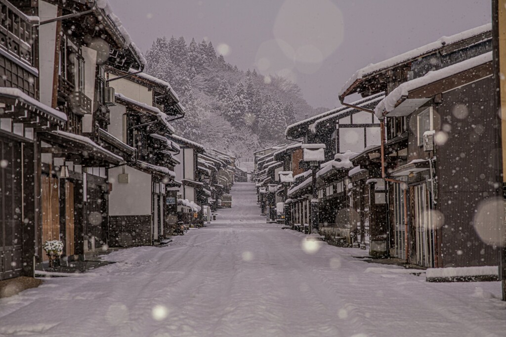 八尾 諏訪町本通りの雪景色(速報版)