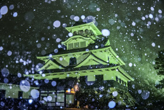 長浜城雪景色