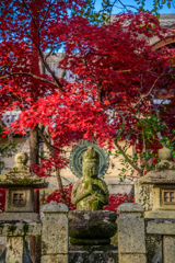 紅葉と勢至菩薩