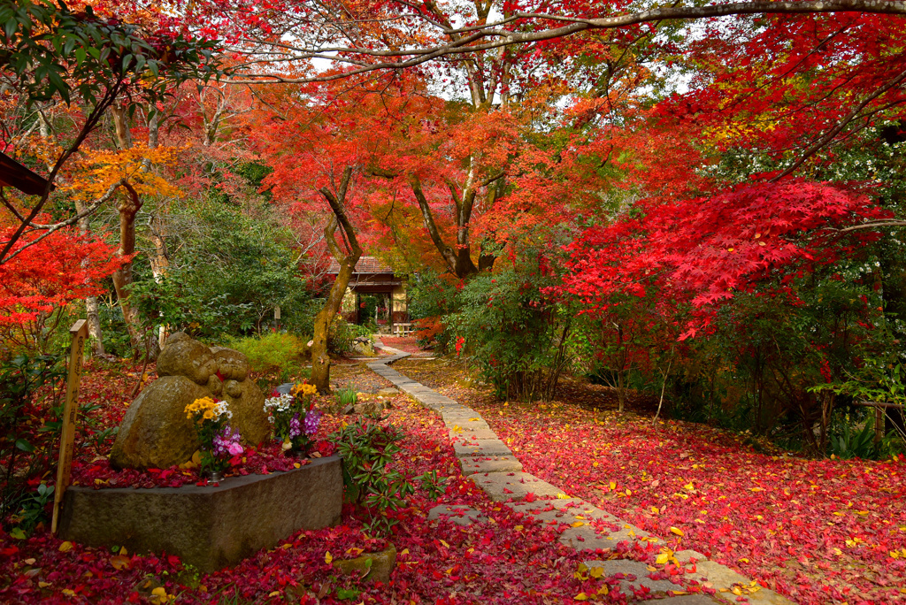 直指庵の紅葉