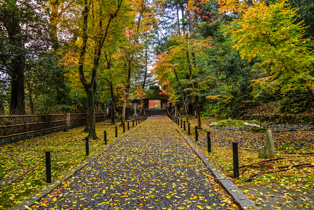 法然院参道