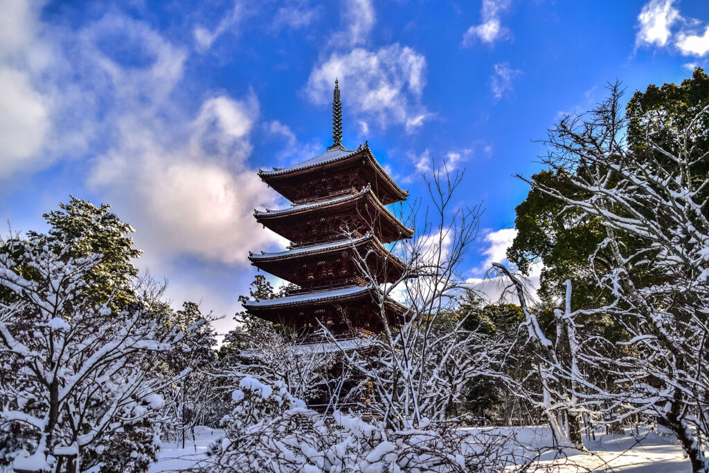 仁和寺雪景色