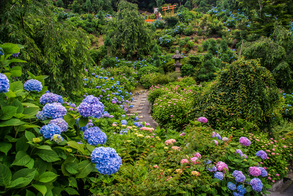 十二年前の善峯寺