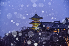 清水寺雪ホタル