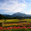 寺坂棚田3
