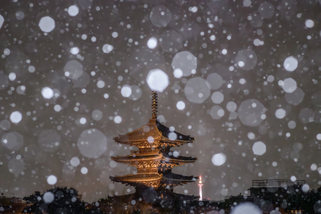 去年の雪景色