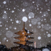 去年の雪景色