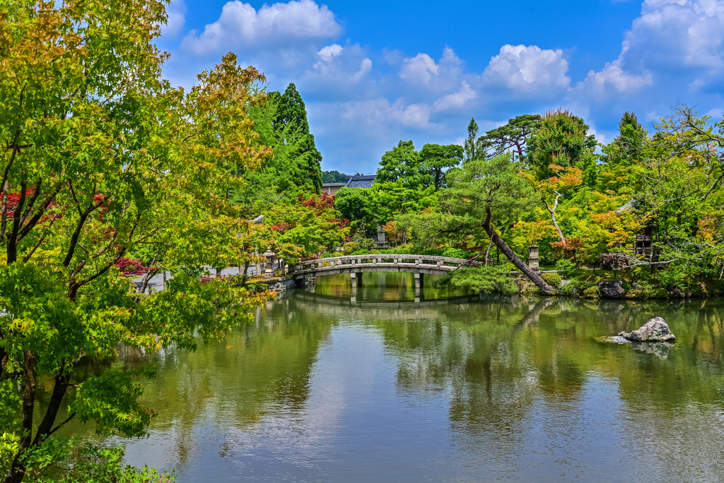 永観堂の池