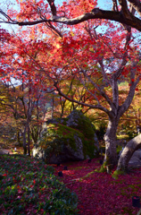 宝厳院の獅子岩