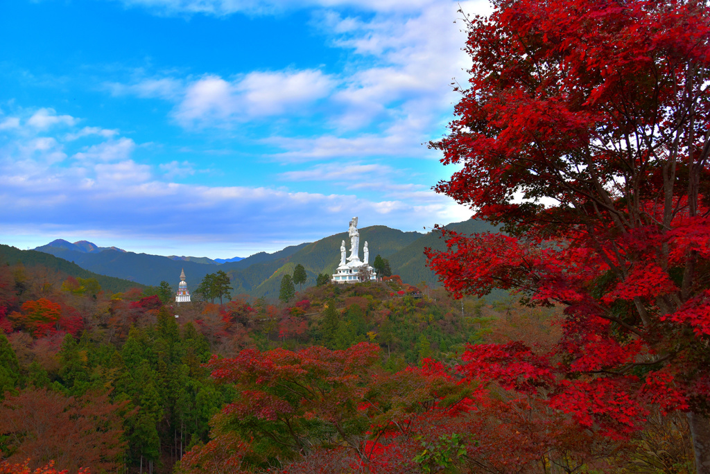 鳥居観音の紅葉 By 鈴電 Id 写真共有サイト Photohito