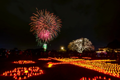 四年前の夜・梅・祭