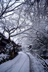 大原の朝