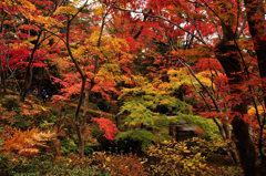 松雲山荘の紅葉