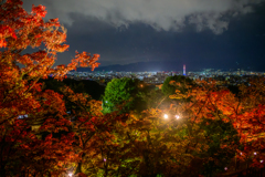 去年のおさらい1