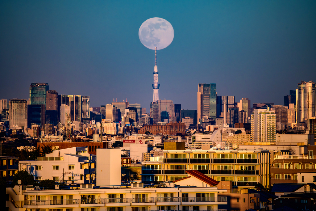 大きな月とスカイツリー