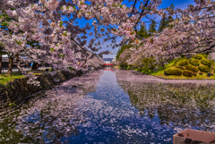 二年前の松岬公園2