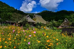 美山の秋(現地投稿版)