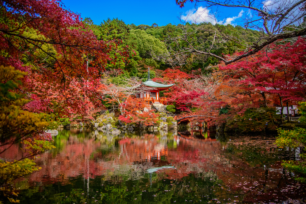 醍醐寺の紅葉