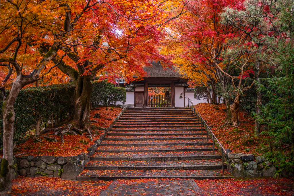 晩秋の安楽寺