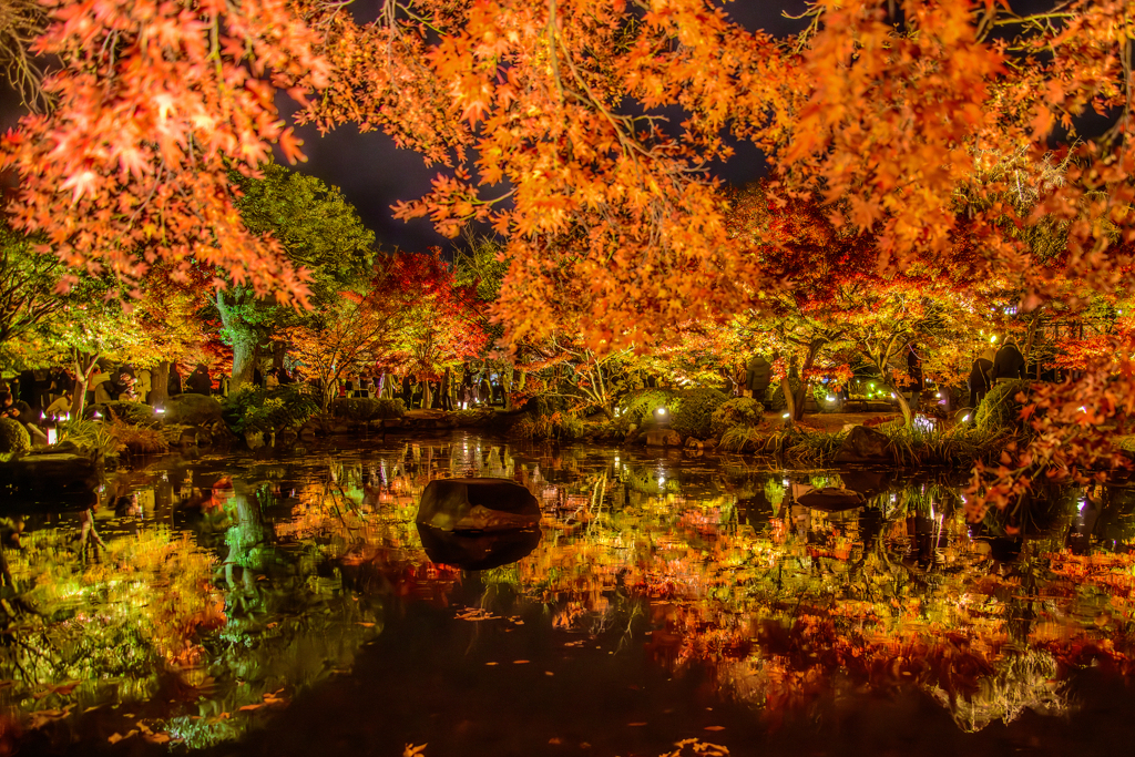 東寺の紅葉ライトアップ