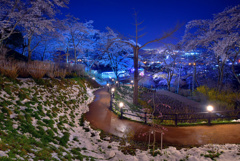船岡城址公園の雪景色