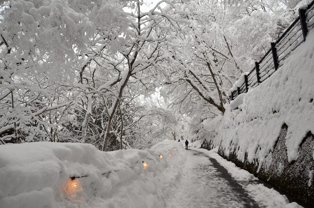 白川郷雪の回廊