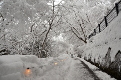 白川郷雪の回廊