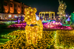 FLOWER GARDEN